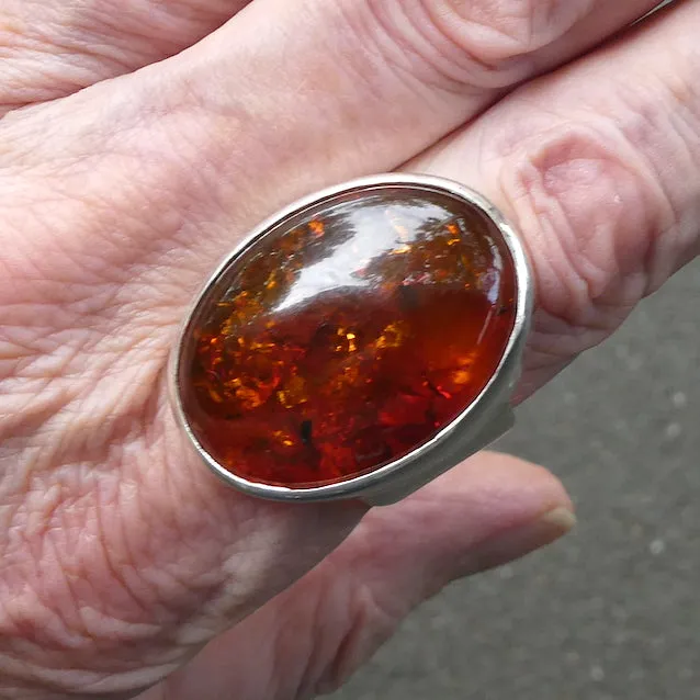 Amber Ring, Baltic, Oval Cabochon, Large Size, 925 Sterling Silver (D1)