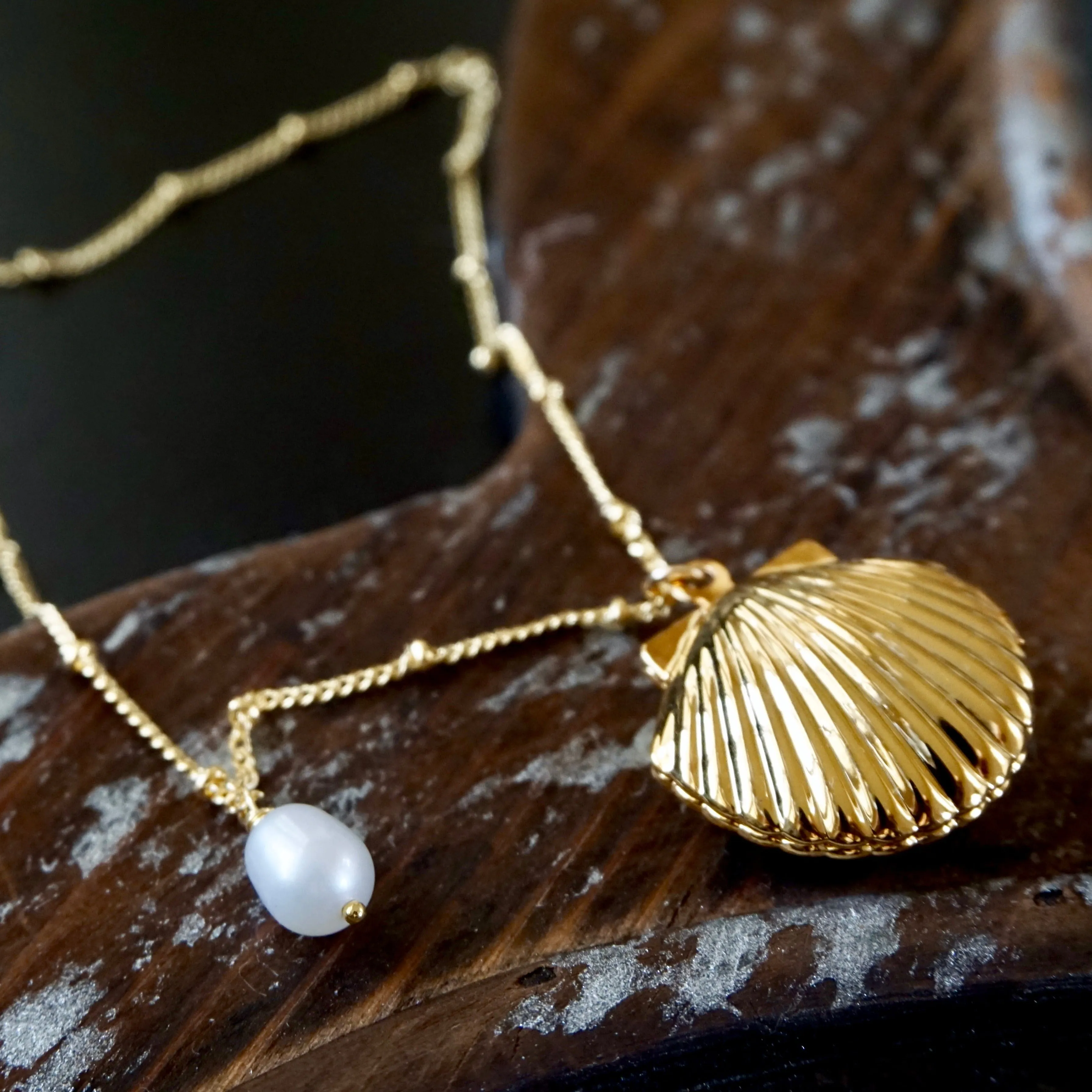 Gold Clam Shell Locket Necklace