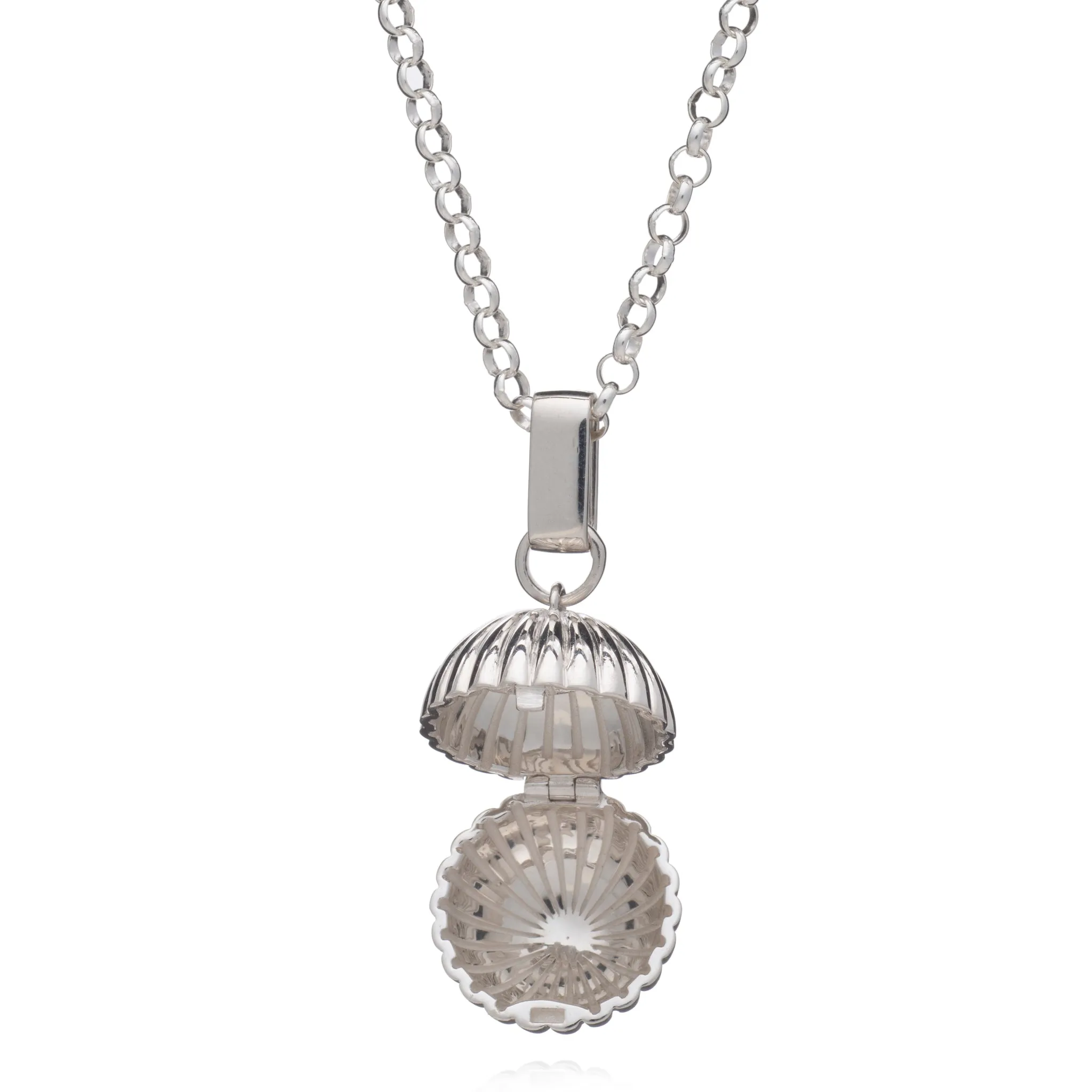 Long Momento Locket Necklace - Silver - TBN5S