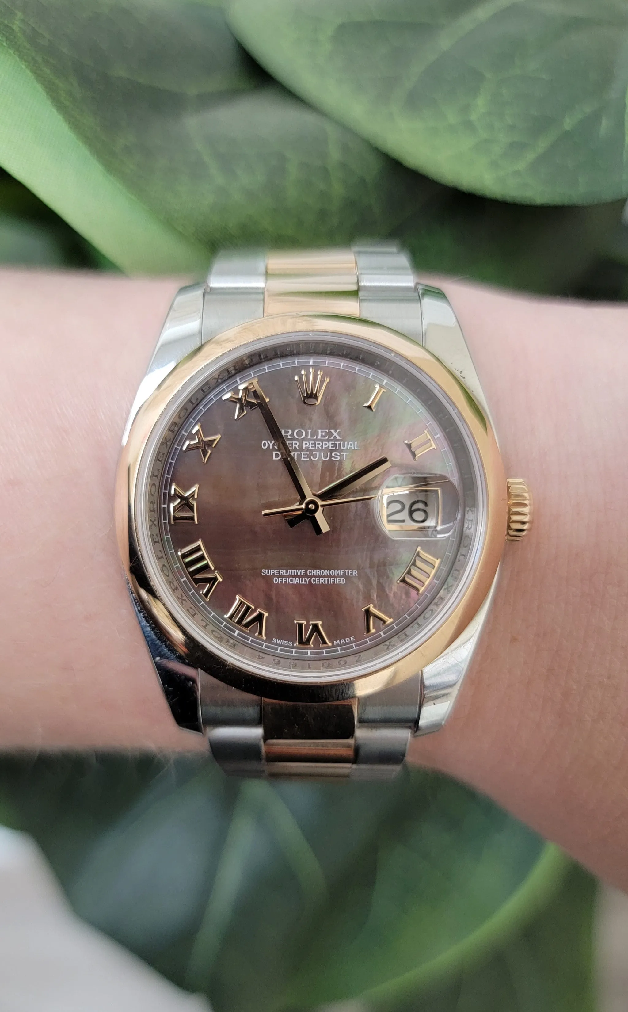 Sold! Rolex Datejust 36mm Tahitian MOP Dial in Two-tone Everose & Stainless Steel Watch