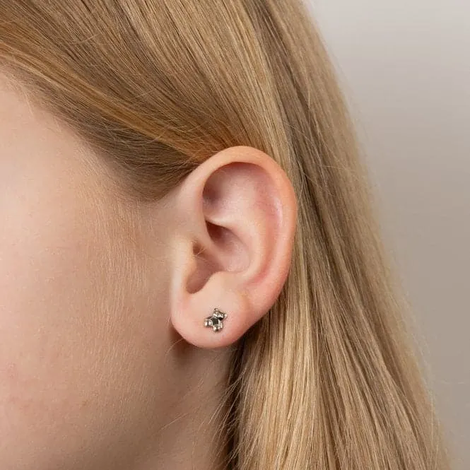Teddy Bear Stud Earrings With Diamond E6431